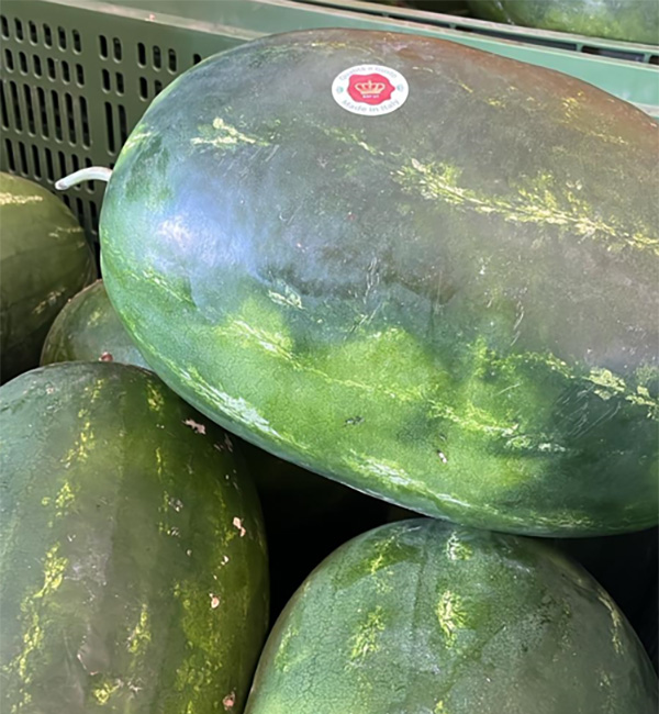 Anguria - Marsala (Sicilia) - 1,20 euro al chilogrammo